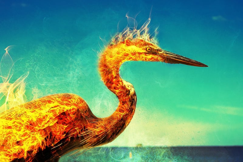 Phoenix Valley